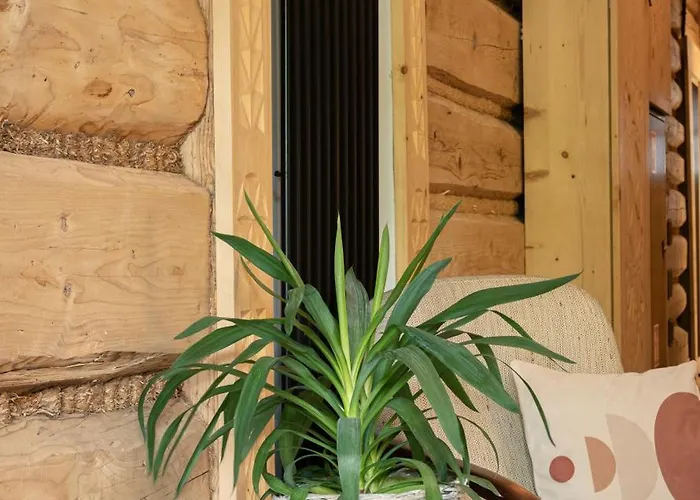 Harendzianka Homestay Zakopane